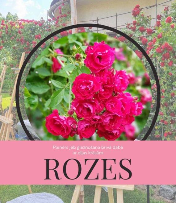 Rozes_majas_lapa_2